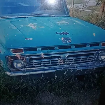 1966 Ford F-100