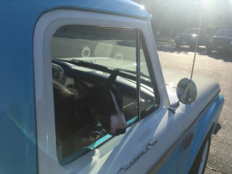 1966 Ford F-Series 4th Gen - Image 19 of 31