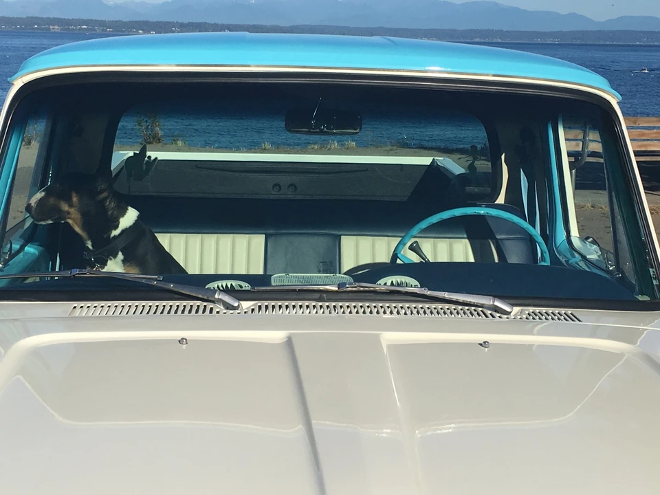 1966 Ford F-Series 4th Gen - Image 17 of 31