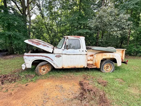 1966 Ford F1