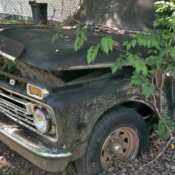 1966 Ford F1 Twin I Beam
