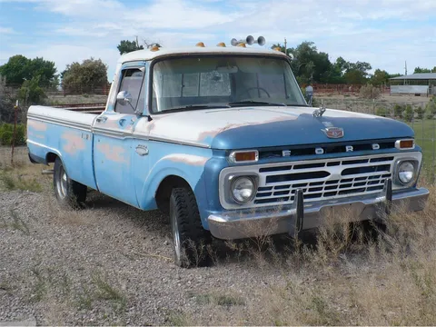 1966 Ford F100