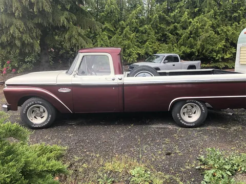 1966 Ford F100
