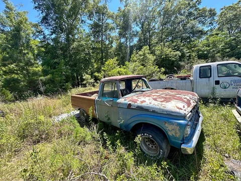 1966 Ford F100