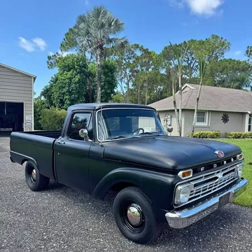 1966 Ford F100