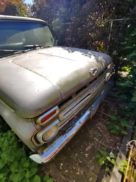 1966 Ford F100