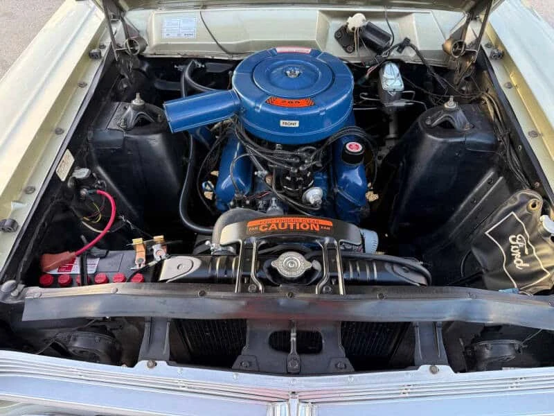 1966 Ford Fairlane 5th Gen - Image 12 of 29