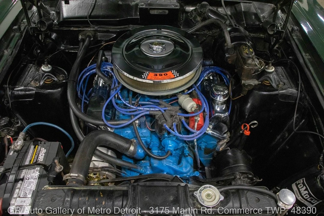 1966 Ford Fairlane 5th Gen - Image 20 of 31