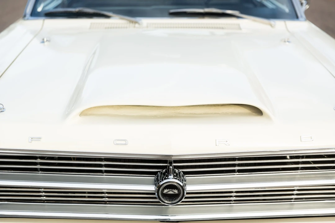 1966 Ford Fairlane 5th Gen - Image 31 of 31