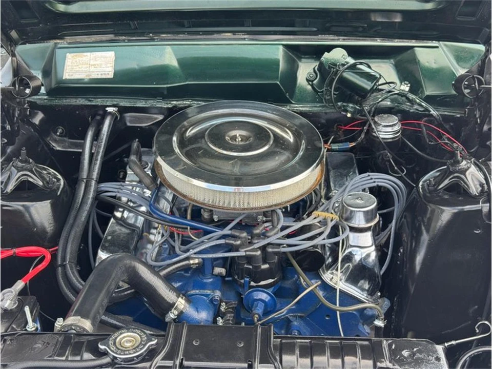 1966 Ford Fairlane 5th Gen - Image 29 of 31