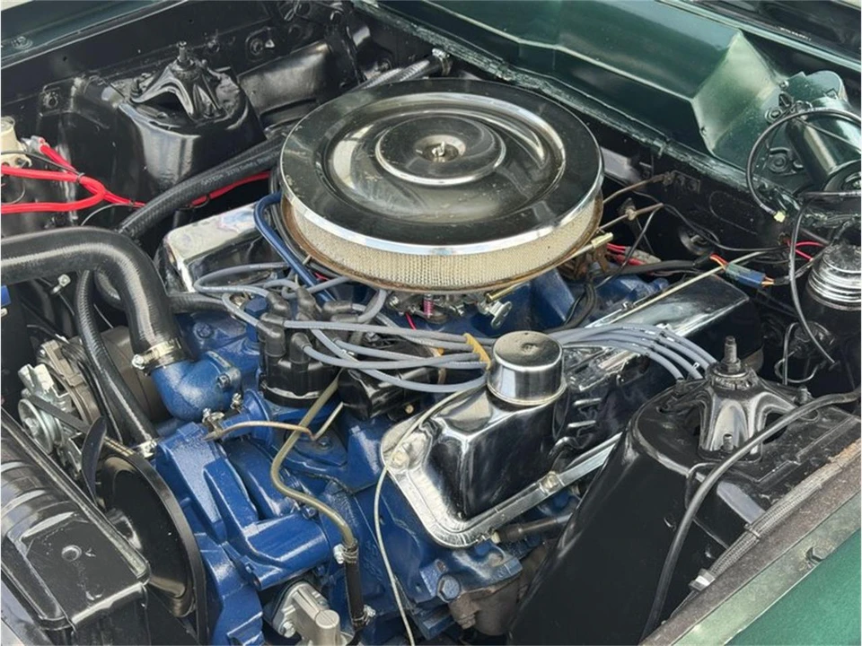 1966 Ford Fairlane 5th Gen - Image 30 of 31