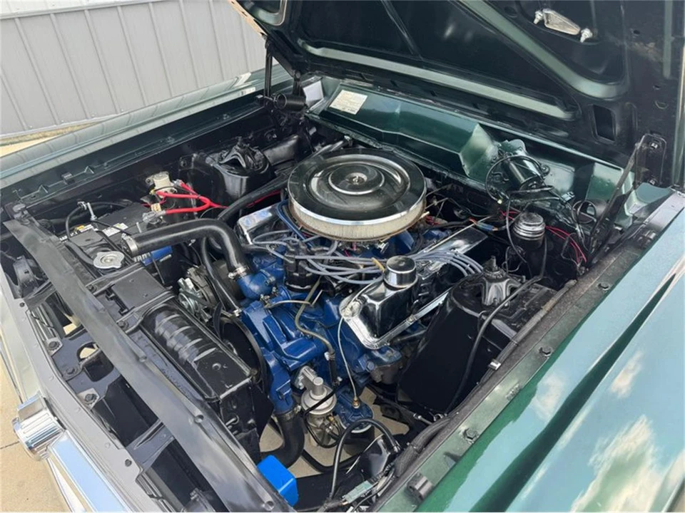 1966 Ford Fairlane 5th Gen - Image 31 of 31
