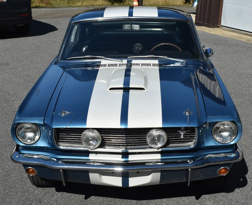 1966 Shelby GT350 - Image 3 of 21
