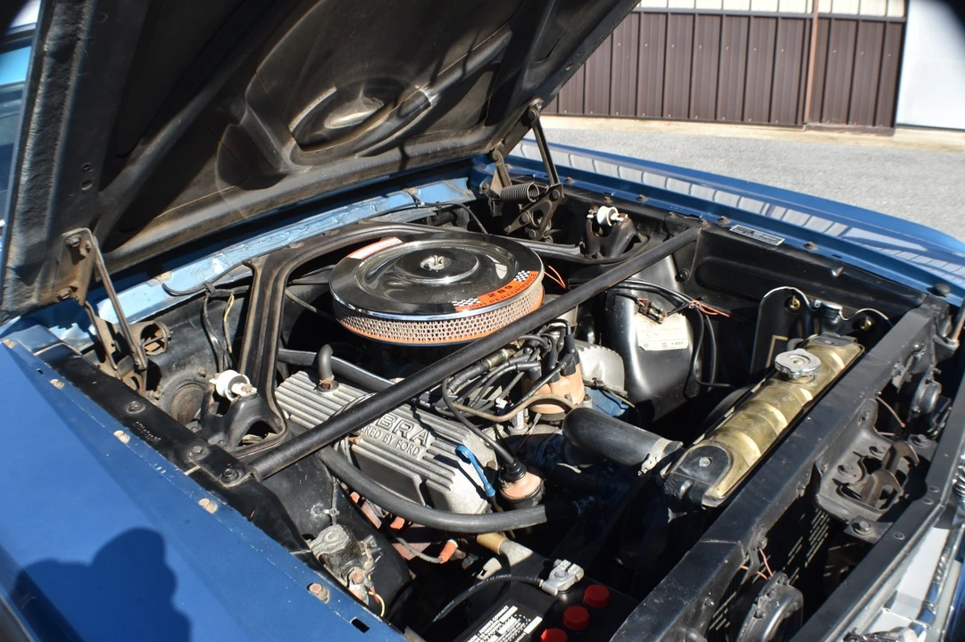 1966 Shelby GT350 - Image 16 of 21