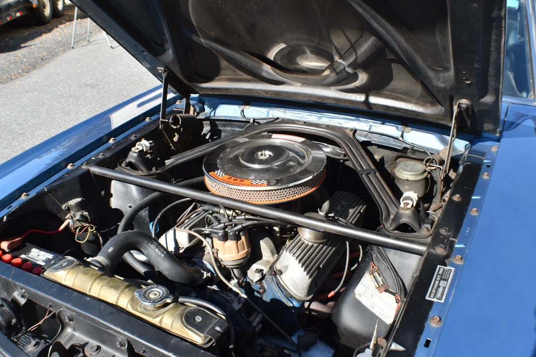 1966 Shelby GT350 - Image 15 of 21