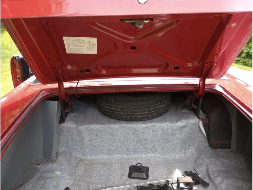 1966 Ford Galaxie 3rd Gen - Image 19 of 20