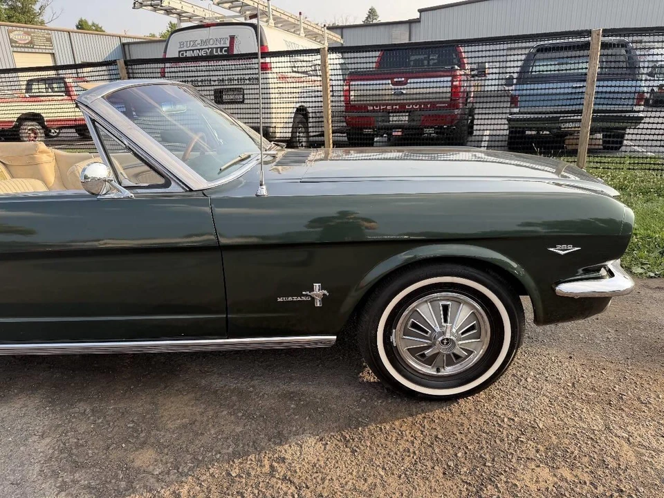 1966 Ford Mustang 1st Gen (1964.5-1966) - Image 12 of 28