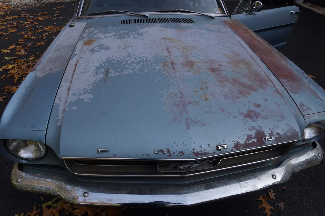 1966 Ford Mustang 1st Gen (1964.5-1966) - Image 9 of 31