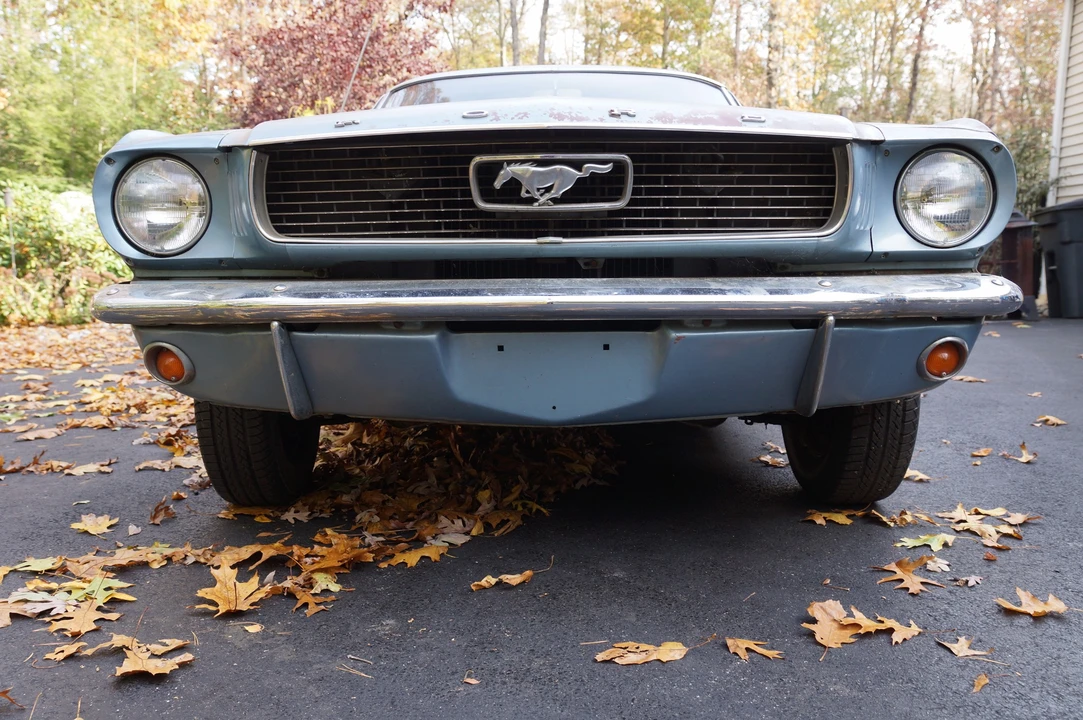 1966 Ford Mustang 1st Gen (1964.5-1966) - Image 7 of 31