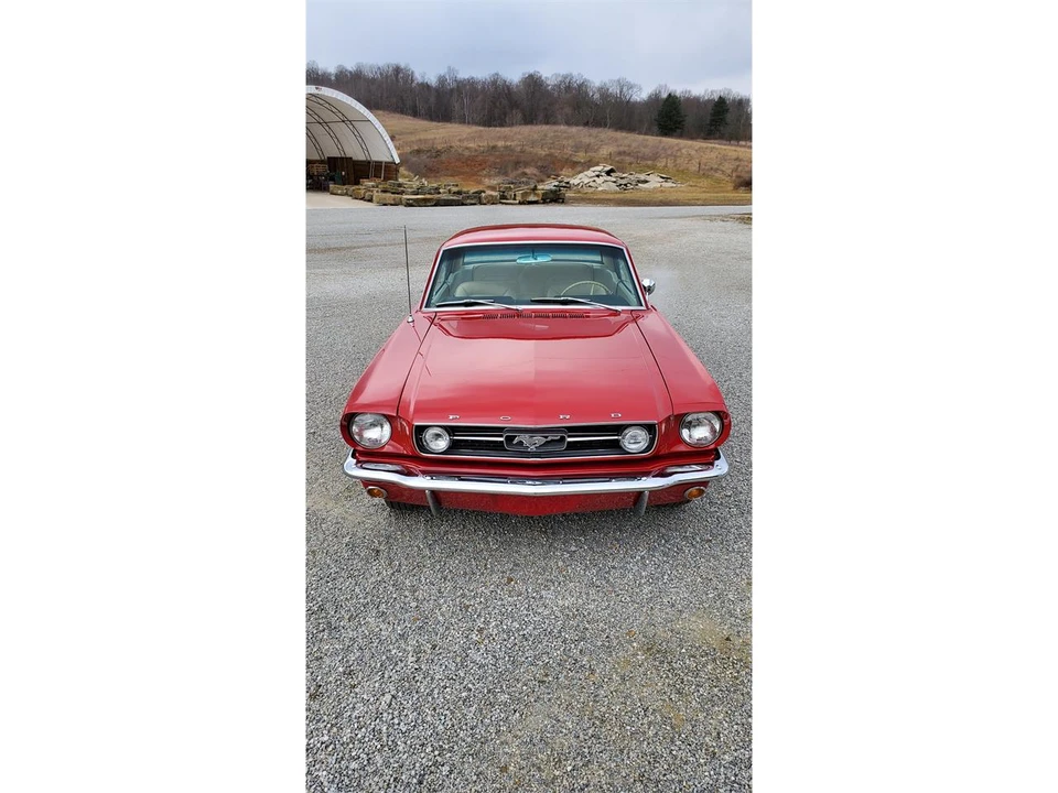 1966 Ford Mustang 1st Gen (1964.5-1966) - Image 10 of 31