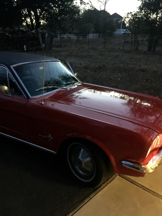 1966 Ford Mustang 1st Gen (1964.5-1966) - Image 13 of 31