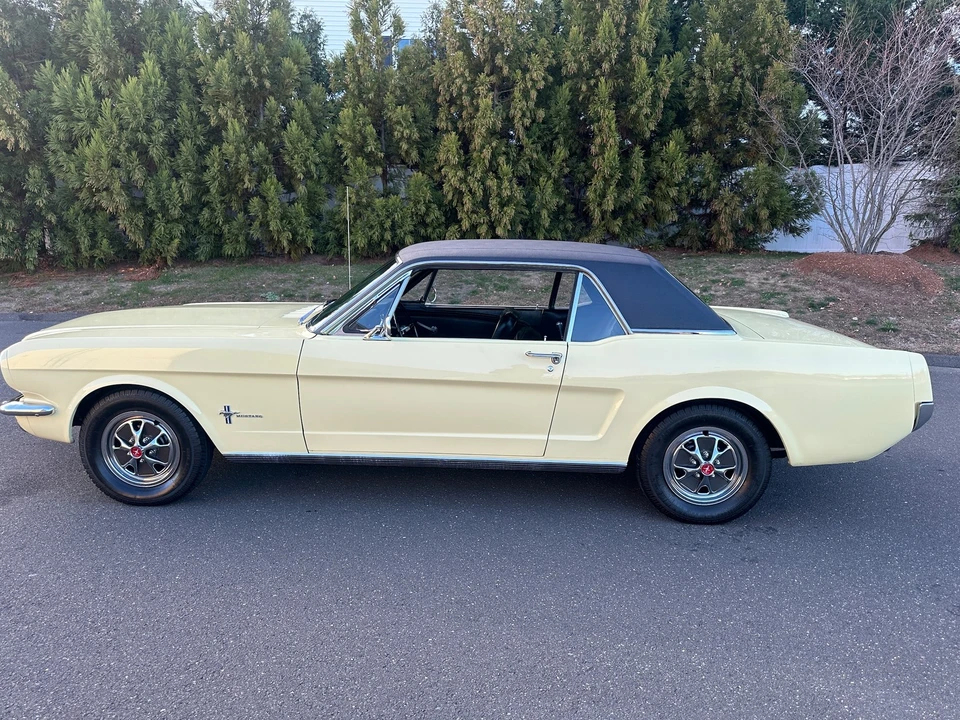 1966 Ford Mustang 1st Gen (1964.5-1966) - Image 2 of 31