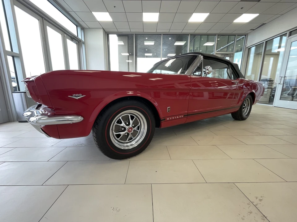 1966 Ford Mustang 1st Gen (1964.5-1966) - Image 15 of 31