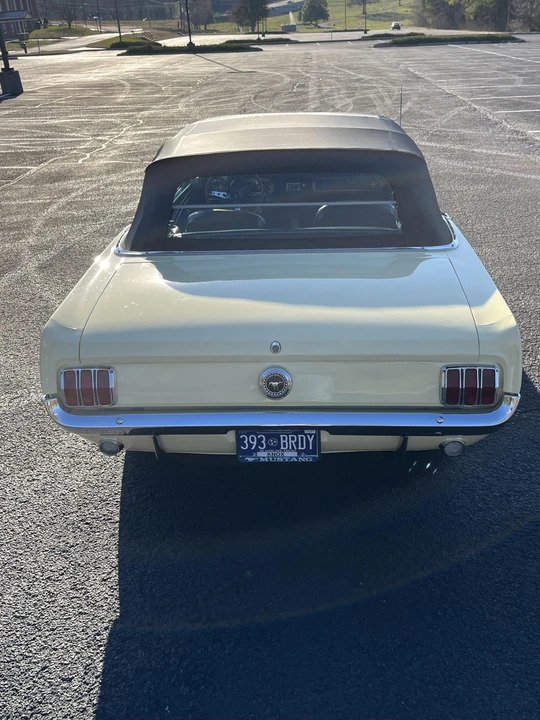 1966 Ford Mustang 1st Gen (1964.5-1966) - Image 20 of 31
