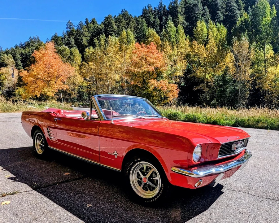 1966 Ford Mustang 1st Gen (1964.5-1966) - Image 9 of 31