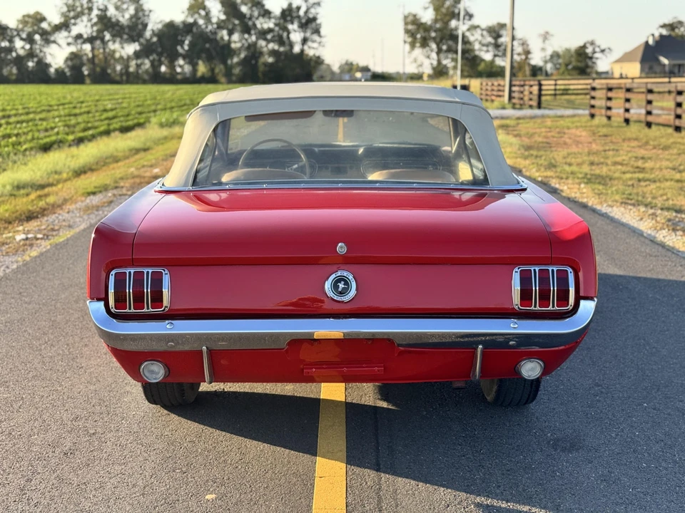 1966 Ford Mustang 1st Gen (1964.5-1966) - Image 17 of 31