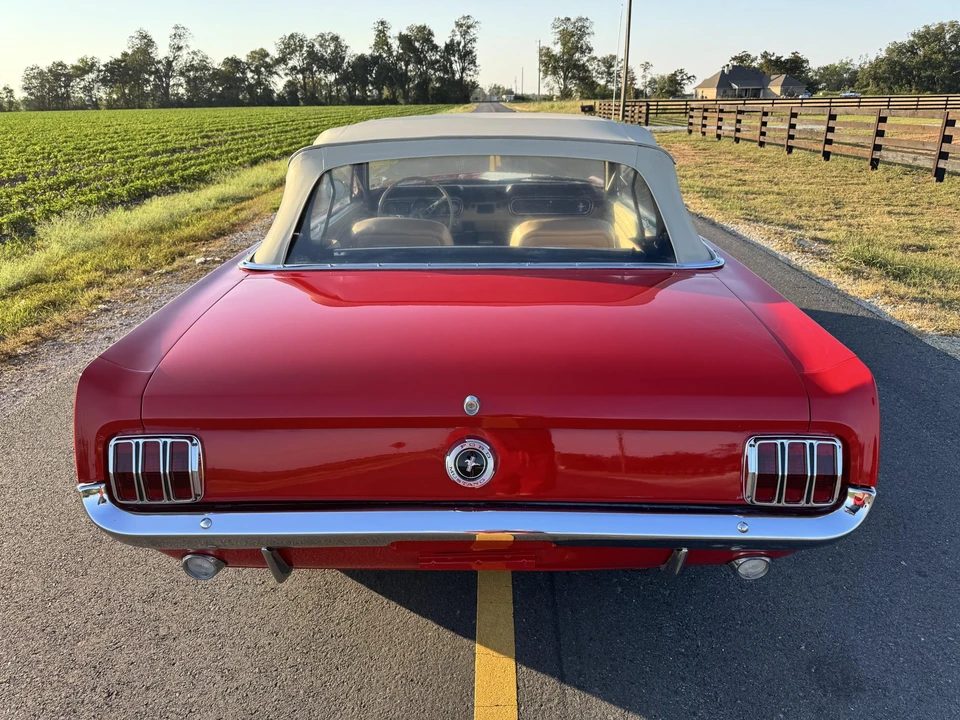 1966 Ford Mustang 1st Gen (1964.5-1966) - Image 19 of 31