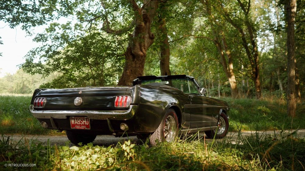 1966 Ford Mustang 1st Gen (1964.5-1966) - Image 28 of 31