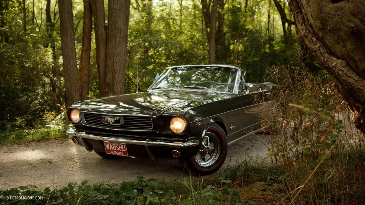 1966 Ford Mustang 1st Gen (1964.5-1966) - Image 20 of 31