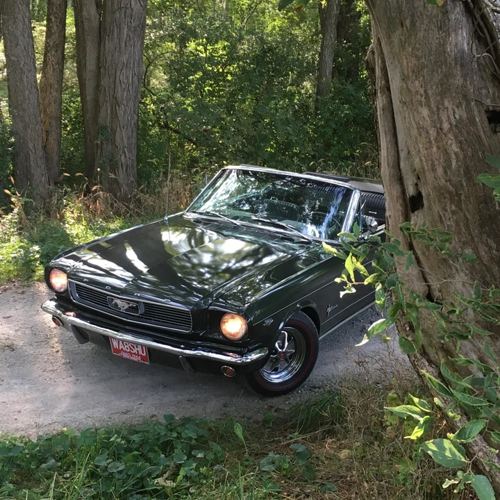 1966 Ford Mustang 1st Gen (1964.5-1966) - Image 19 of 31