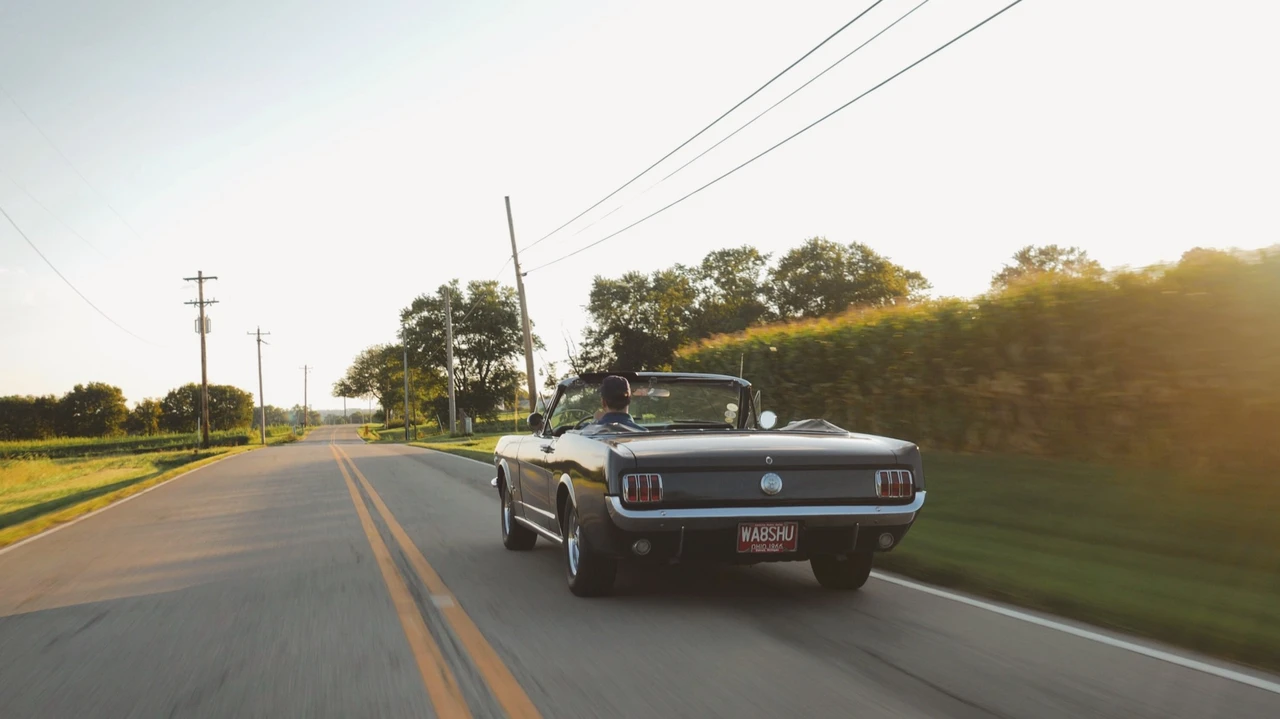 1966 Ford Mustang 1st Gen (1964.5-1966) - Image 31 of 31