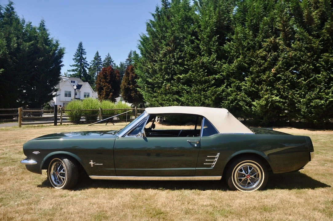 1966 Ford Mustang 1st Gen (1964.5-1966) - Image 22 of 31