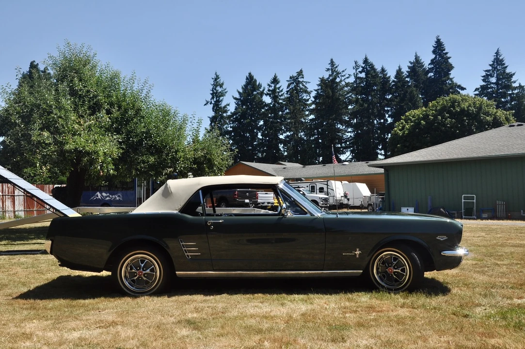 1966 Ford Mustang 1st Gen (1964.5-1966) - Image 13 of 31