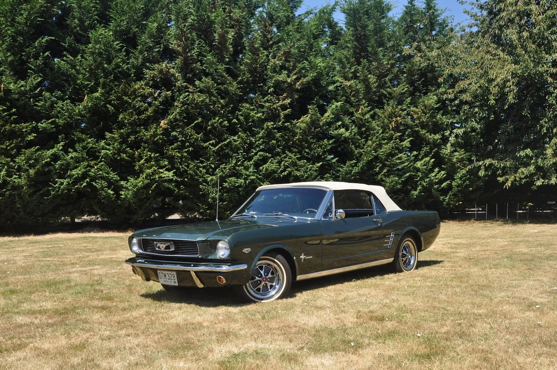 1966 Ford Mustang 1st Gen (1964.5-1966) - Image 4 of 31