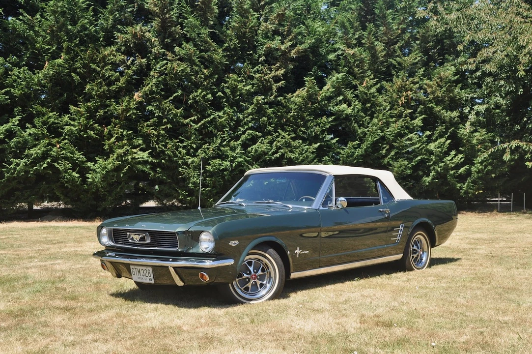 1966 Ford Mustang 1st Gen (1964.5-1966) - Image 5 of 31