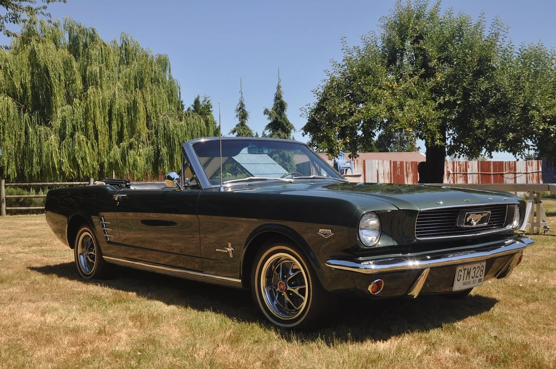 1966 Ford Mustang 1st Gen (1964.5-1966) - Image 10 of 31