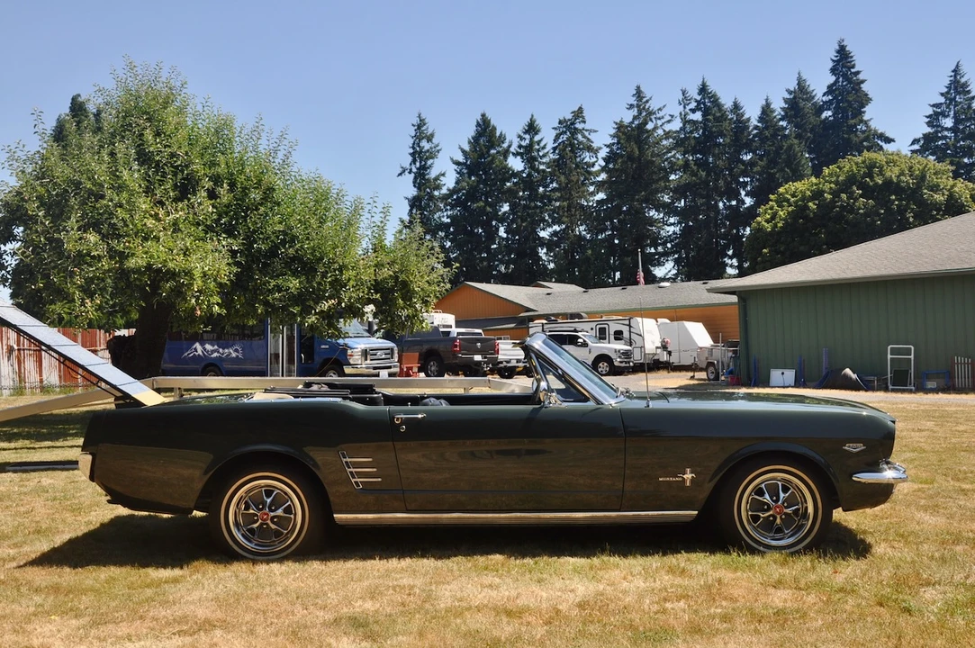 1966 Ford Mustang 1st Gen (1964.5-1966) - Image 12 of 31
