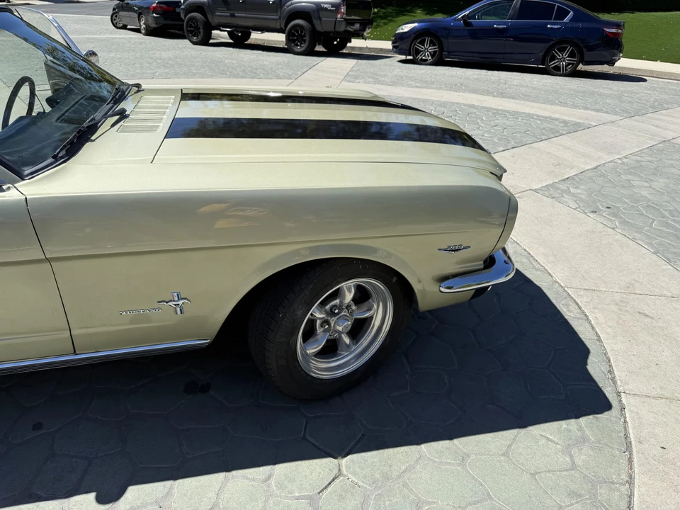 1966 Ford Mustang 1st Gen (1964.5-1966) - Image 19 of 31