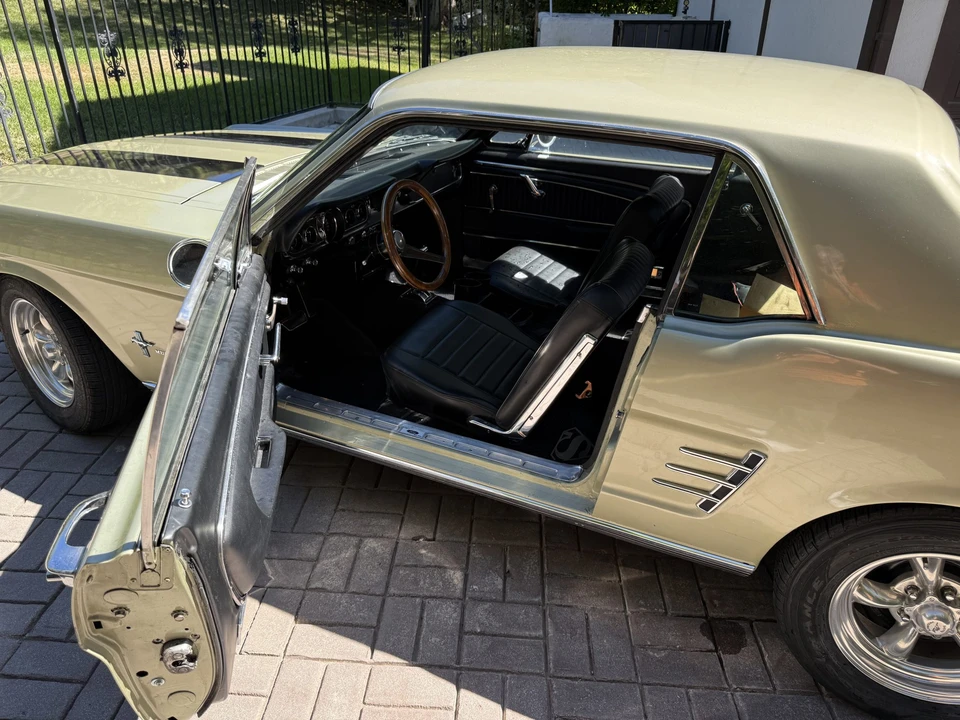 1966 Ford Mustang 1st Gen (1964.5-1966) - Image 31 of 31