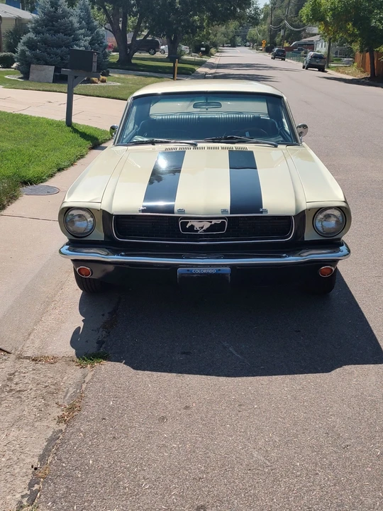 1966 Ford Mustang 1st Gen (1964.5-1966) - Image 3 of 31