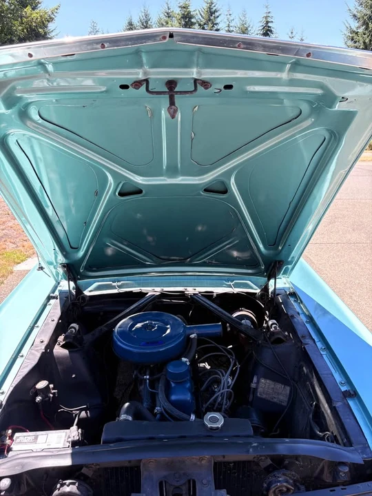 1966 Ford Mustang 1st Gen (1964.5-1966) - Image 3 of 20