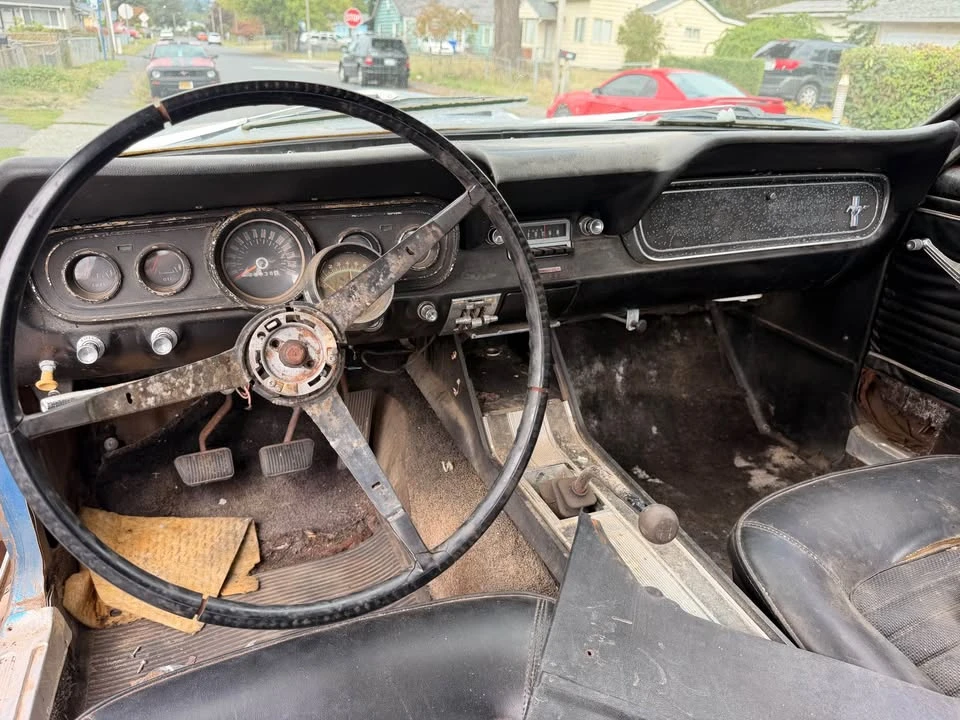 1966 Ford Mustang 1st Gen (1964.5-1966) - Image 16 of 20