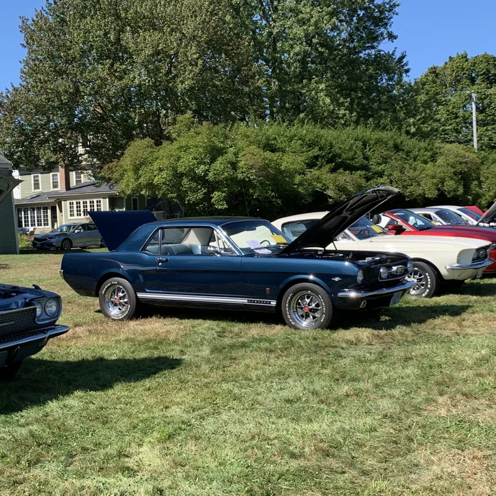 1966 Ford Mustang GT 1st Gen (1965-1968) - Image 11 of 31