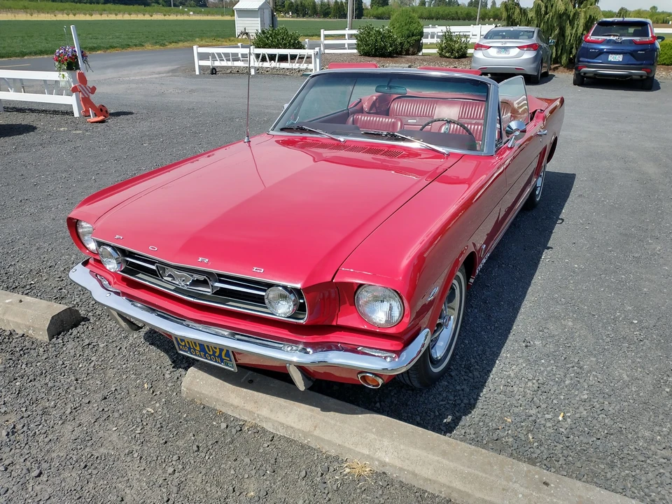 1966 Ford Mustang GT 1st Gen (1965-1968) - Image 8 of 31