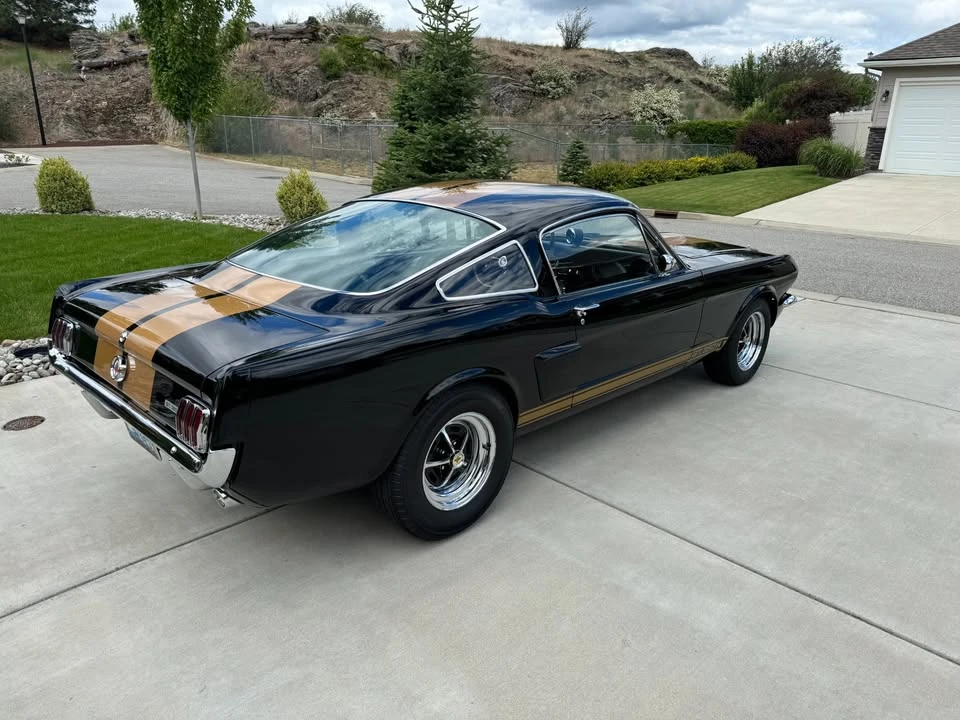 1966 Ford Shelby Mustang - Image 3 of 7