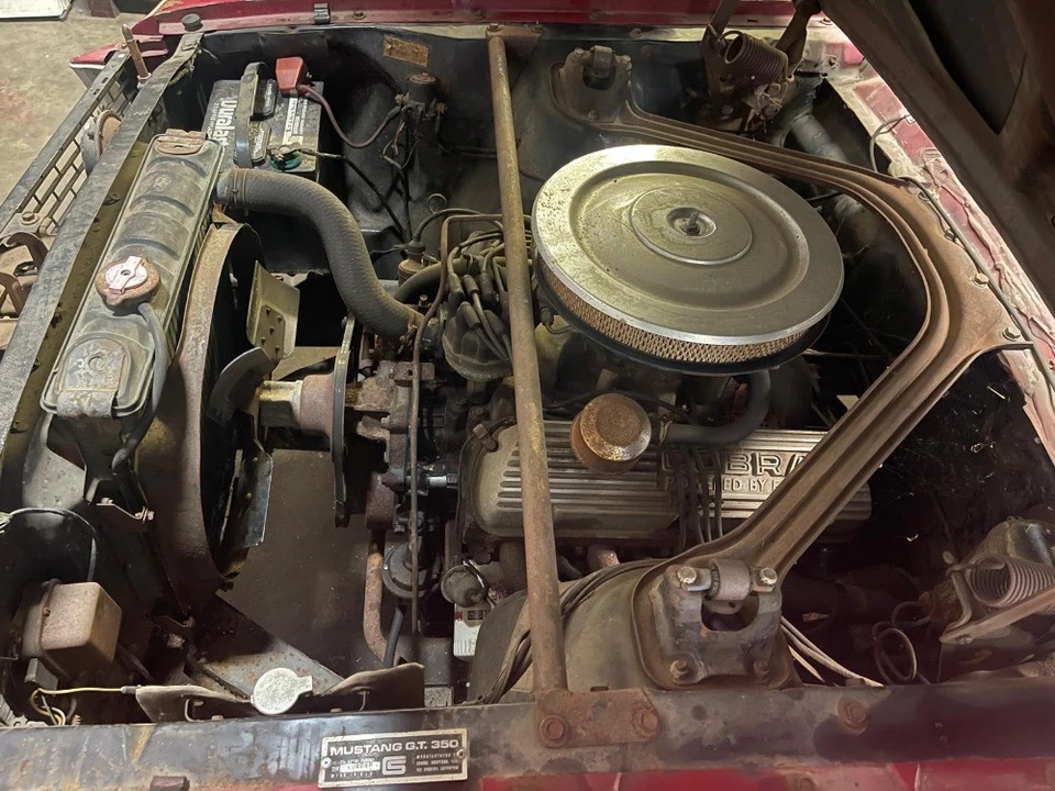 1966 Ford Shelby Mustang - Image 8 of 8